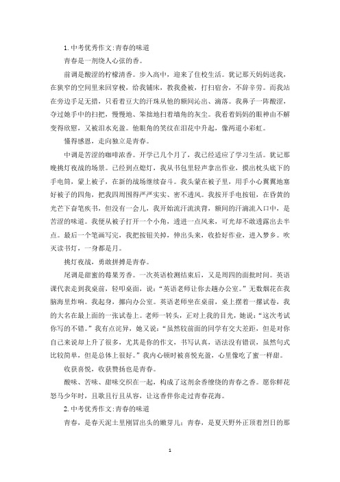 中考优秀作文:青春的味道(精选)