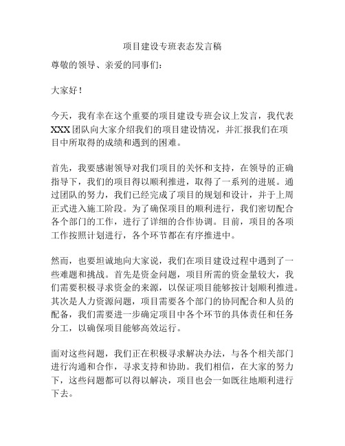 项目建设专班表态发言稿