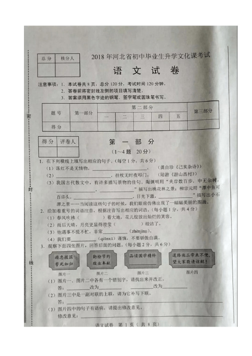 2018年中考语文试题、答案、解析