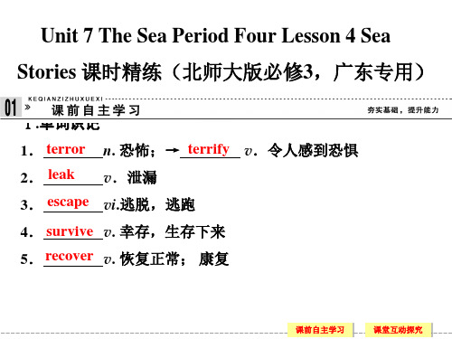 Unit 7 The Sea Period Four Lesson 4 Sea Stories 课件(北师大版必修3,广东专用)