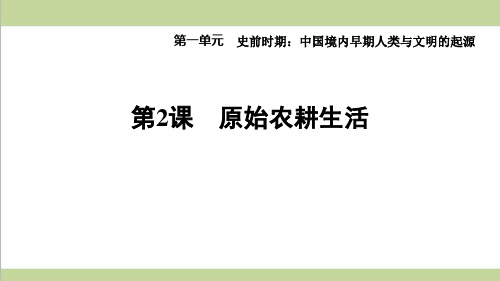 部编人教版七年级上册历史 第2课 原始农耕生活 课后习题练习复习课件