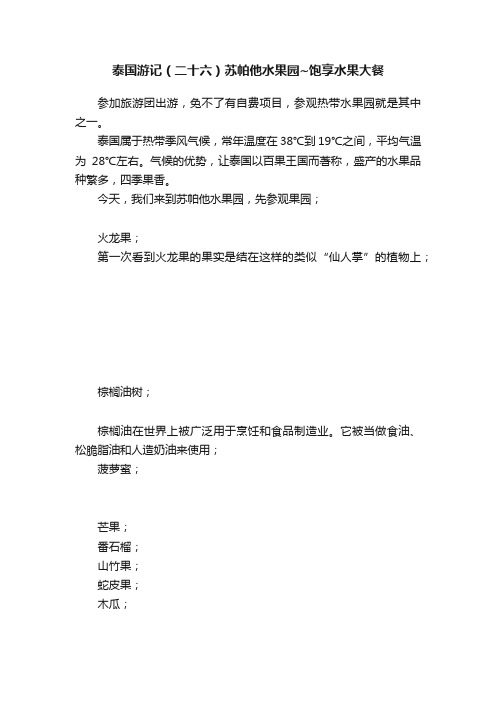 泰国游记（二十六）苏帕他水果园~饱享水果大餐