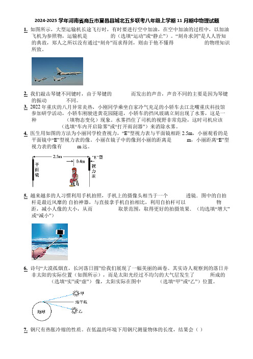 2024-2025学年河南省商丘市夏邑县城北五乡联考八年级上学期11月期中物理试题