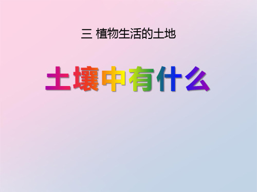 2021年《土壤里有什么》植物生活的土地PPT课件2文档