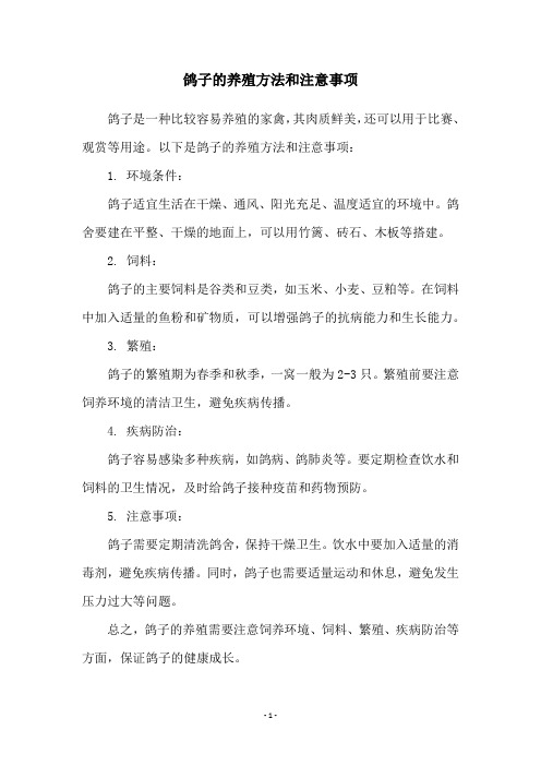 鸽子的养殖方法和注意事项