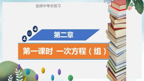 广东省中考数学总复习第二章方程与不等式第1课时一次方程组课件