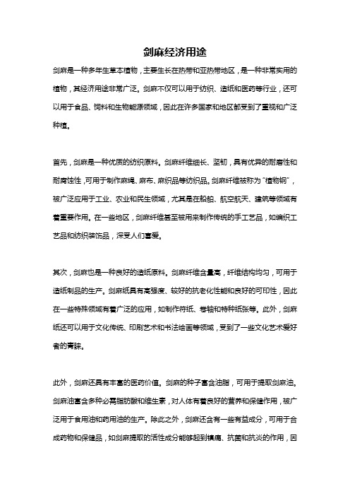 剑麻经济用途