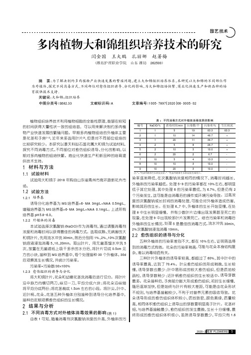 多肉植物大和锦组织培养技术的研究