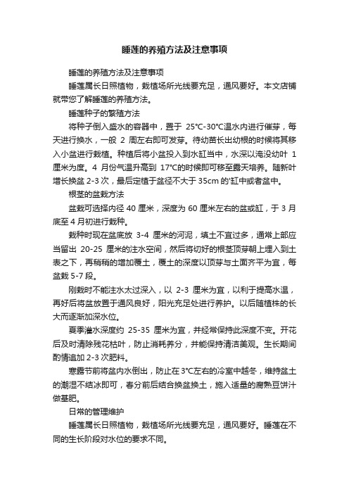 睡莲的养殖方法及注意事项