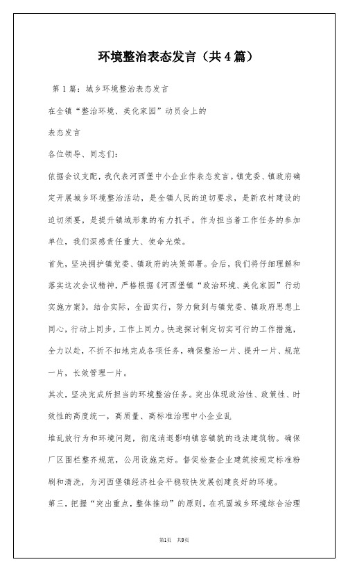 环境整治表态发言(共4篇)