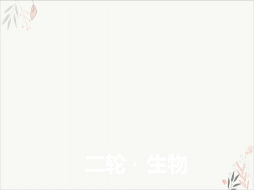 高考生物二轮复习考点一光合作用和细胞呼吸的过程及联系精品PPT课件