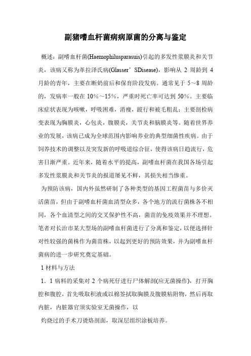 副猪嗜血杆菌病病原菌的分离与鉴定.doc