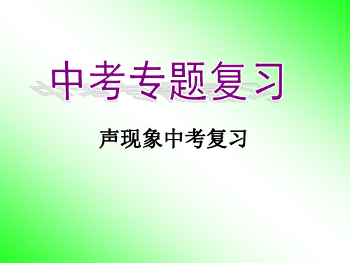 中考物理总复习课件《_声现象》