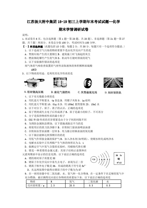 江苏扬大附中集团18-19初三上学期年末考试试题--化学