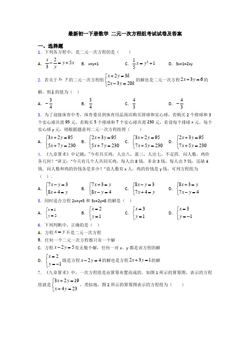 最新初一下册数学 二元一次方程组考试试卷及答案