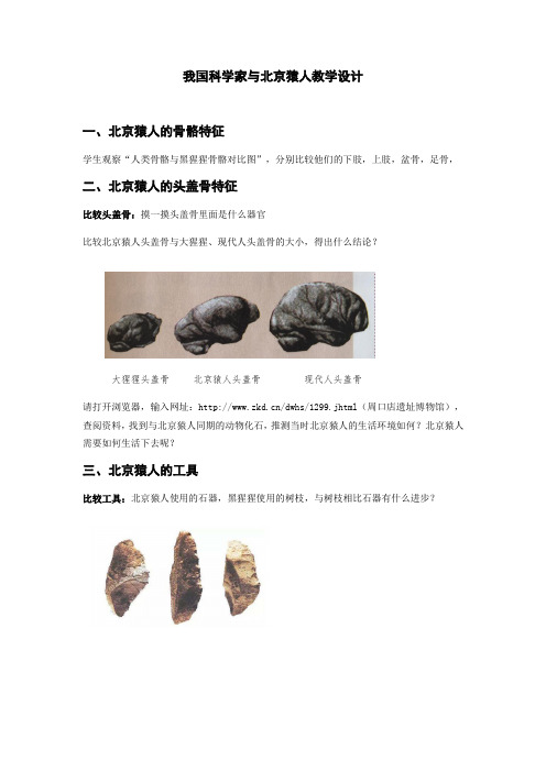 新人教版七年级生物下册《四单元 生物圈中的人  第一章 人的由来  我国科学家与北京猿人》教案_11