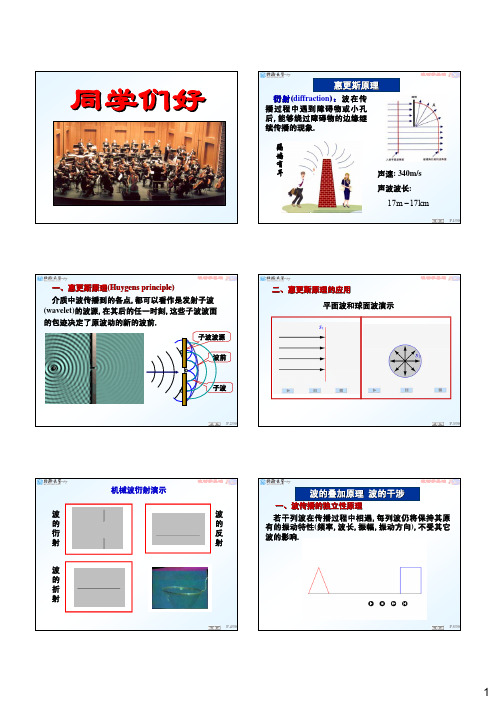 第12章 波动学基础-2