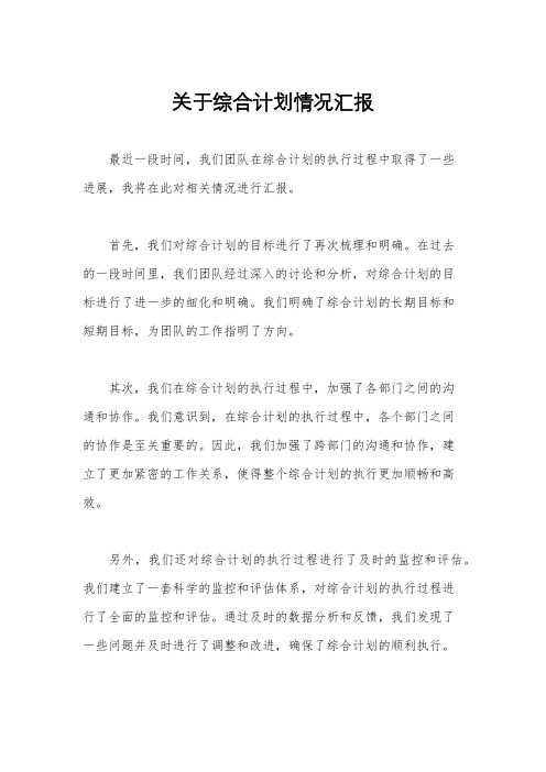 关于综合计划情况汇报