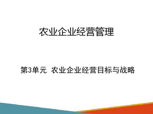 农业企业经营目标与战略—经营战略管理的程序