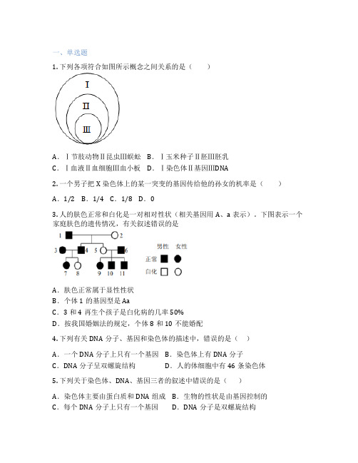 人教版生物 八年级下册 第二节 基因在亲子代间的传递 课后练习题