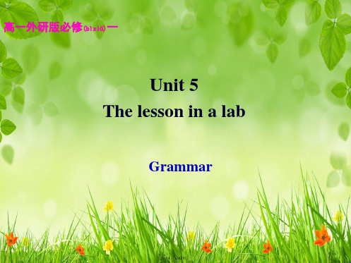 module5-a-lesson-in-a-lab-grammar(共43张)