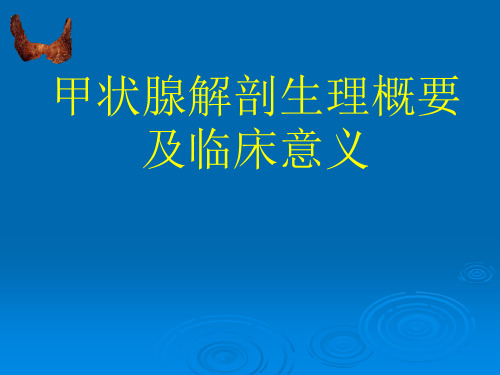 甲状腺解剖生理概要及临床意义