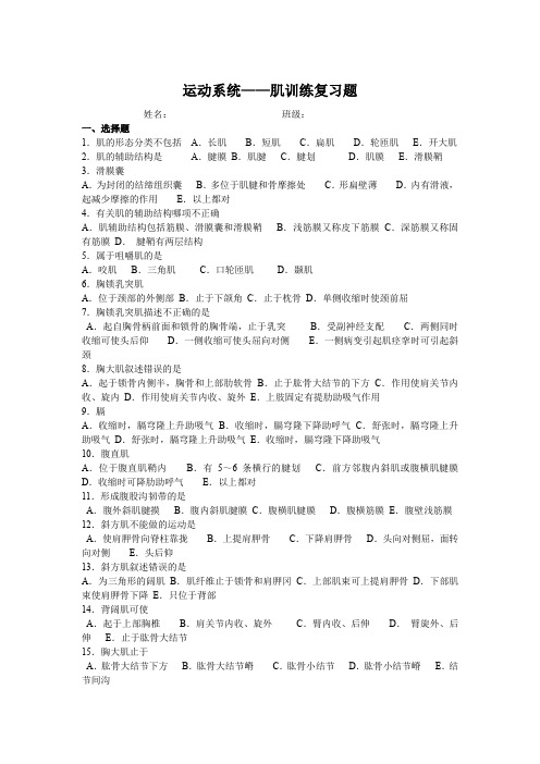 运动系统——肌训练复习题