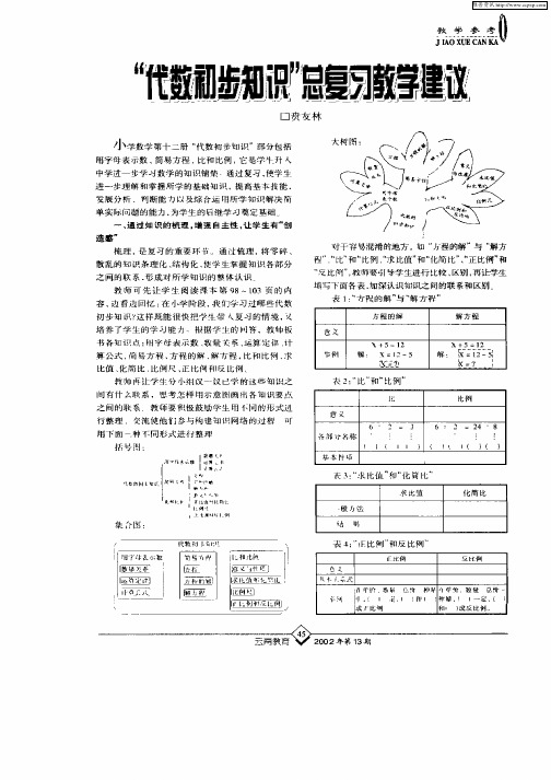 “代数初步知识”总复习教学建议