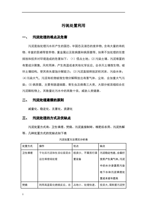 污泥处置各种方法的优缺点对比及可行性分析