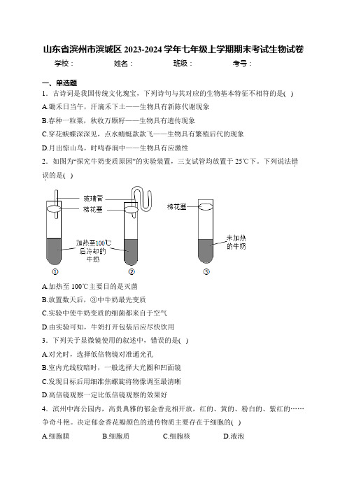 山东省滨州市滨城区2023-2024学年七年级上学期期末考试生物试卷(含答案)