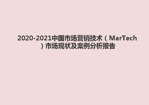 2020-2021中国市场营销技术(MarTech)市场现状及案例分析报告