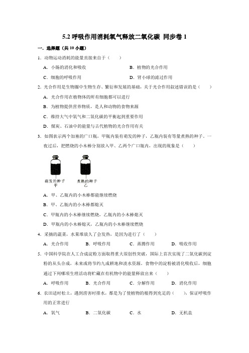 鲁科五四制版生物六年级下册呼吸作用消耗氧气释放二氧化碳