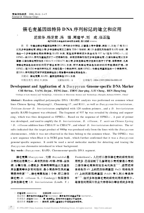 簇毛麦基因组特异DNA序列标记的建立和应用-麦类作物学报