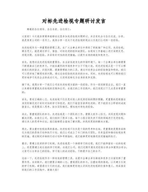 对标先进检视专题研讨发言