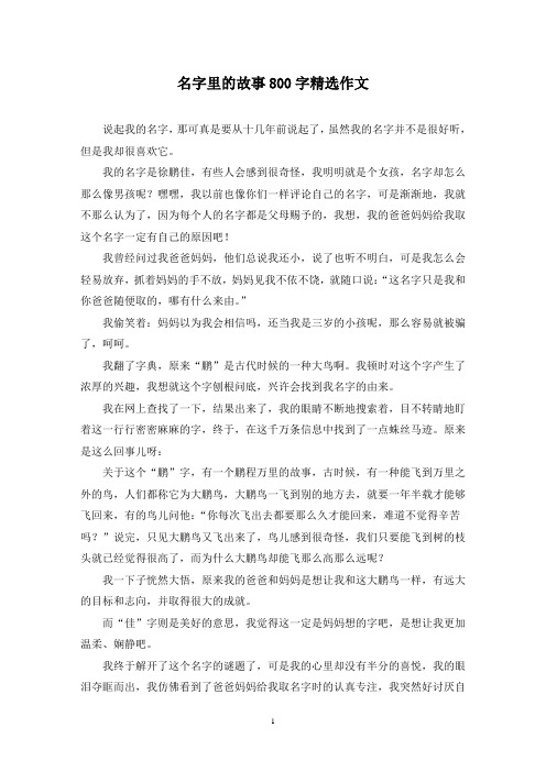 精选名字里的故事800字作文