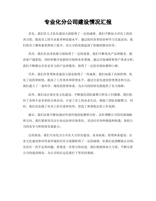 专业化分公司建设情况汇报