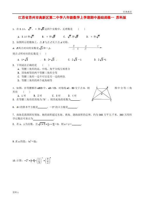 江苏省苏州市高新区第二中学八年级数学上学期期中基础训练一(无答案) 苏科版