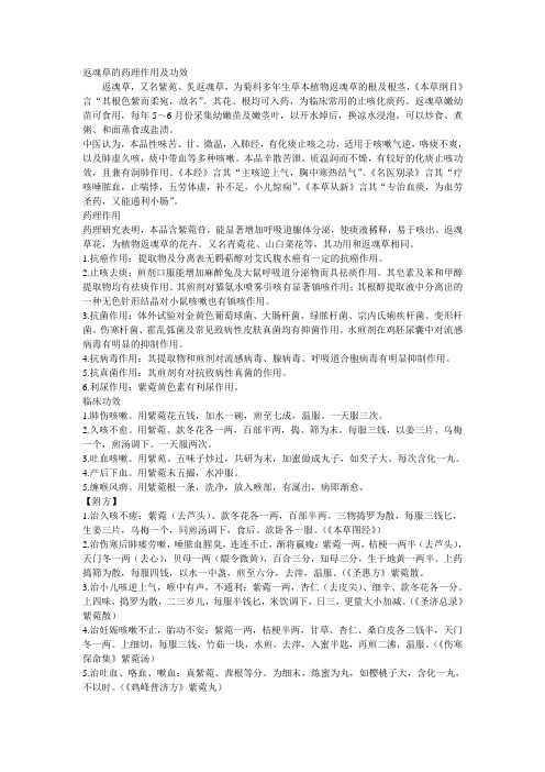 返魂草的药理作用及功效