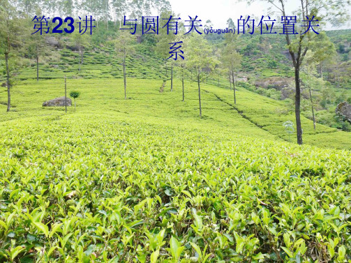 中考数学总复习第一篇知识方法固基第六单元圆第23讲与圆有关的位置关系