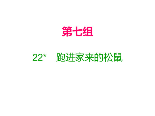 六年级上册语文课件22 进家来的松鼠｜人教新课标(含答案) (共12张PPT)