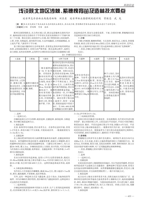 陕北地区沙棘紫穗槐育苗及造林技术要点