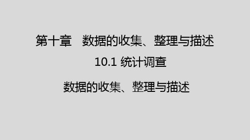 10.1统计调查(1)数据的收集、整理与描述+课件+2023-2024学年人教版数学七年级下册