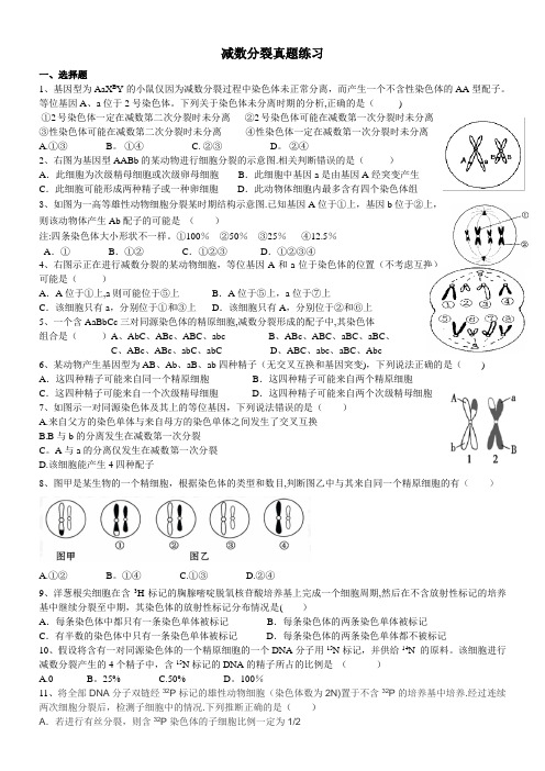 减数分裂真题