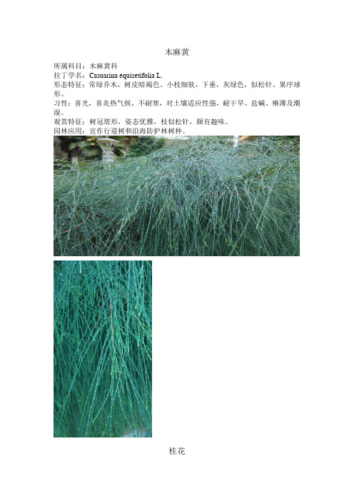 华南农业大学教四植物介绍