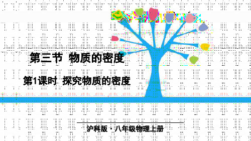 最新沪科版初中八年级物理上册《第1课时 探究物质的密度 》精品教学课件