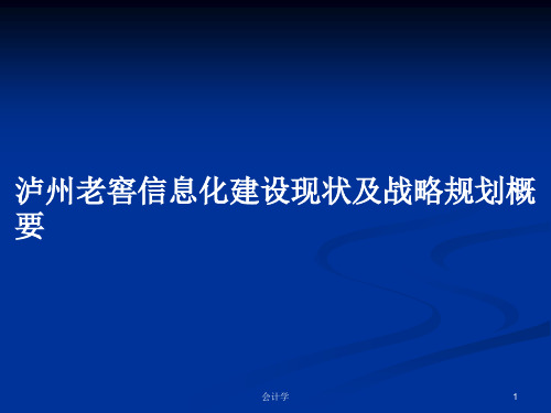 泸州老窖信息化建设现状及战略规划概要PPT学习教案