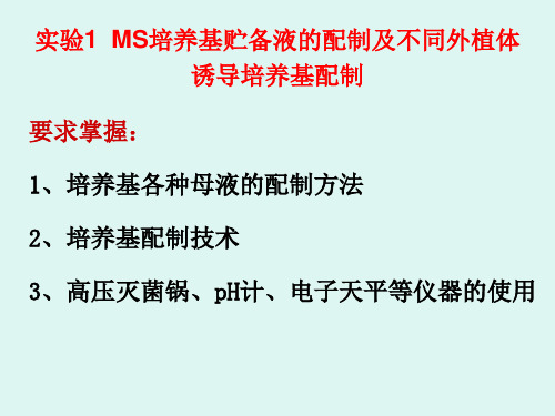 实验1 MS培养基贮备液的配制及不同外植体诱导培养基配制