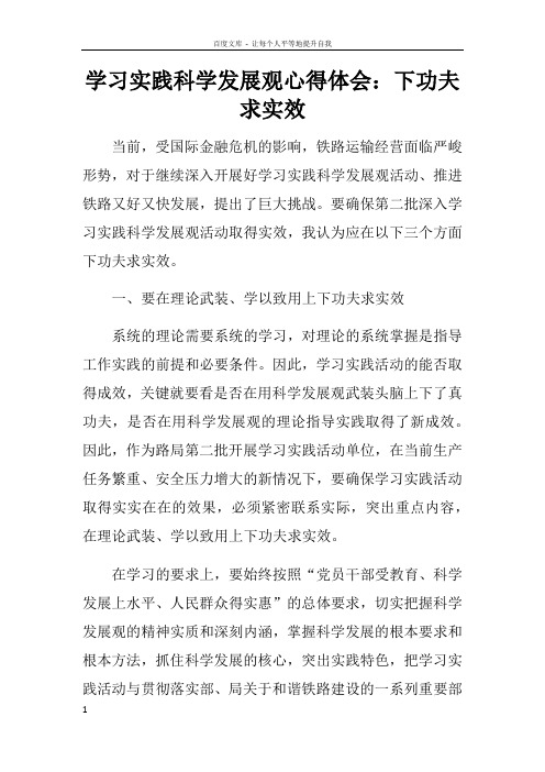 学习实践科学发展观心得体会下功夫求实效