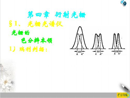 高二物理竞赛光栅光谱仪PPT(课件)