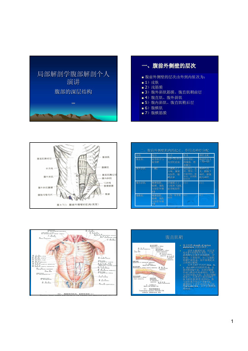 局部解剖学腹部解剖